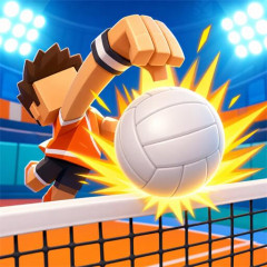 Funny Volleyball