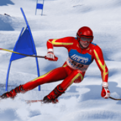 Slalom Ski Simulator